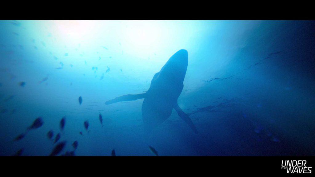 under the waves gioco balena